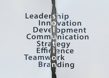 Solution Concept with leadership, innovation, development, communication, strategy, efficience, teamwork, brandingの写真素材