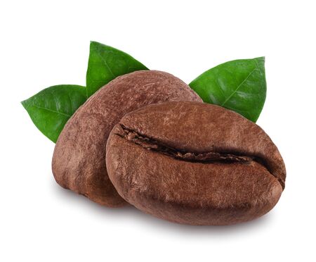 coffee bean isolated on white background, natureの写真素材