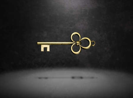 isolated vintage old golden and bronze key, successful conceptの写真素材