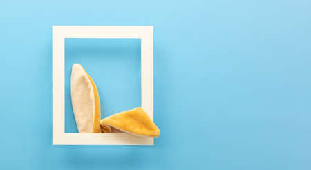 rabbit bunny ears, happy Easter holidayの写真素材