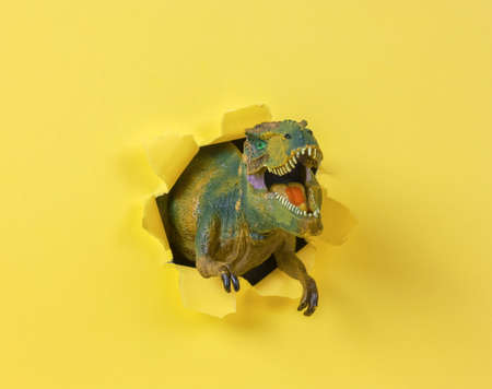 fierce hunting Tyrannosaurus rex dinosaur, T rexの写真素材