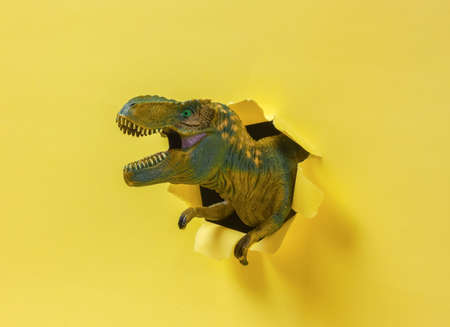 fierce hunting Tyrannosaurus rex dinosaur, T rexの写真素材