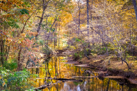 Fall On The County Line.  Chickahominy River is the county boundary between Henrico and Hanover counties in Virginia, in places.の写真素材
