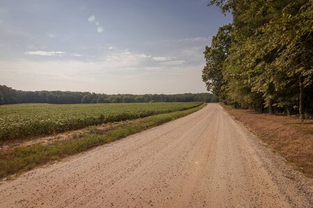 Down the dirt road