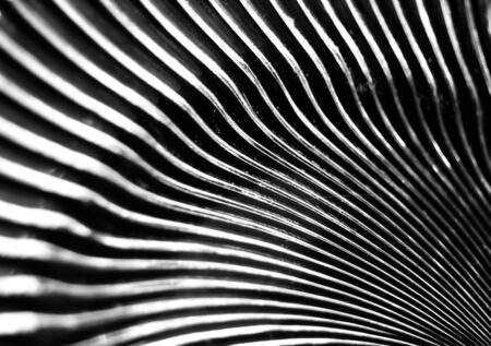 abstract shapes on a textured glassの写真素材