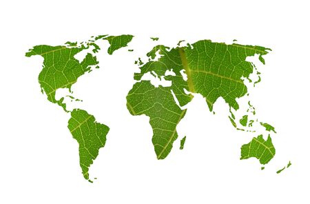 world map with leaf textureの写真素材