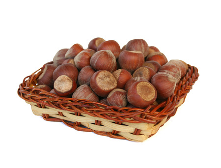 some fresh hazelnuts captured on whiteの写真素材