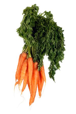 bunch of organic carrots isolated on whiteの写真素材