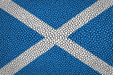 Scotland Flag painted on stingray skin background の写真素材