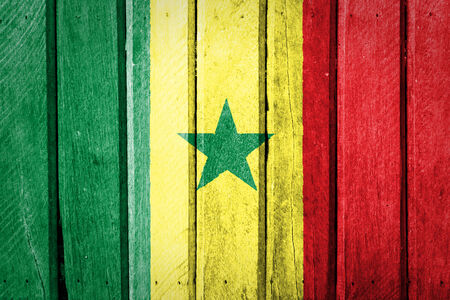 Senegal Flag painted on old wood plank background の写真素材