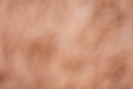 abstract blur background for web designの写真素材