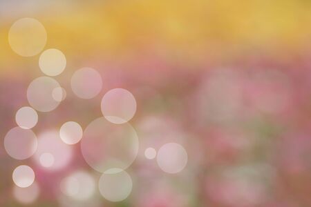 Beautiful colorful flower and bokeh blurred background. Abstract blurred color nature background.の写真素材