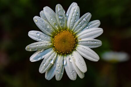 rainy day sunshineの写真素材