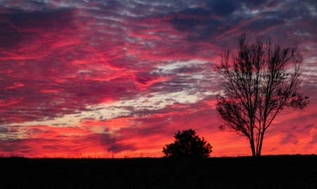 Summer Sunsetの写真素材