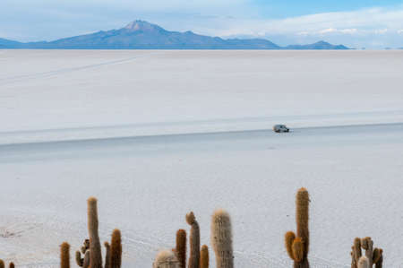 Landscape of the crystallized Bolivia salt flat with a car driving through.の写真素材
