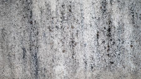 Cement wall with black spots of moldの写真素材
