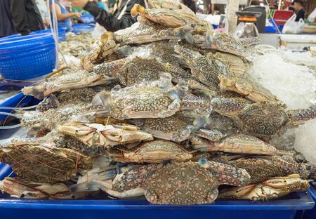Blue swimming crabs were frozen in the tankの写真素材