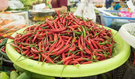 Red chillies stacked on the green trayの写真素材