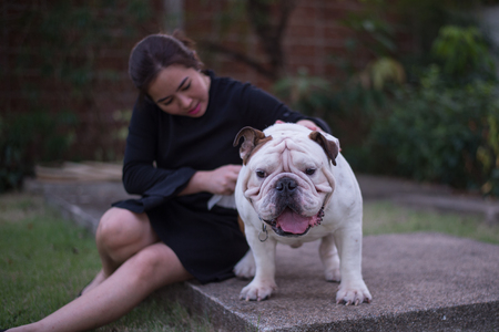 A woman with English bullldogの写真素材