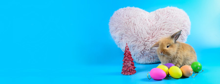 Fluffy brown bunny sit on clean blue background with Pink heart pillow and colorful eggs, little rabbit with copy space for textの写真素材