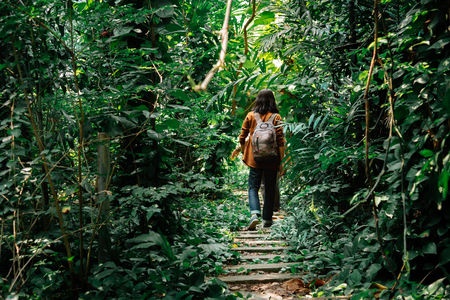 backside of male travelers walking through jungle. a man hiking in forest dense. concept of Travel relax, Holiday and vacation.の写真素材
