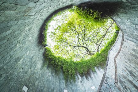 big green tree and spiral staircase of underground crossing in tunnel at Fort Canning Park, Singapore. landmark for travel in Singapore.のeditorial素材