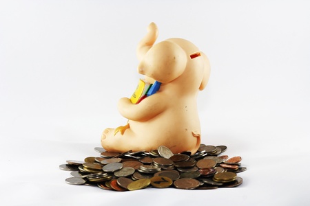 Coin In Elepahant  Bank, Indoors ,  To transfer money for savingsの写真素材