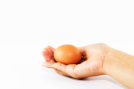 Single brown chicken egg isolated on white