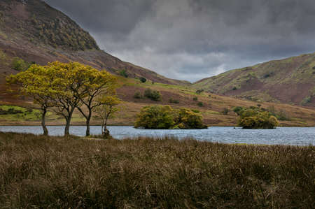 Peace on the Landの写真素材