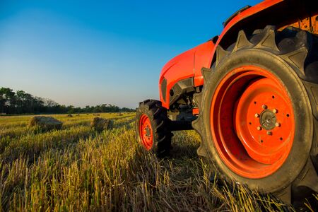 A red tractor is parked in a rice field that has been harvested, leaving only the base of the rice stalks and rice straws, bright blue sky in the evening.の写真素材