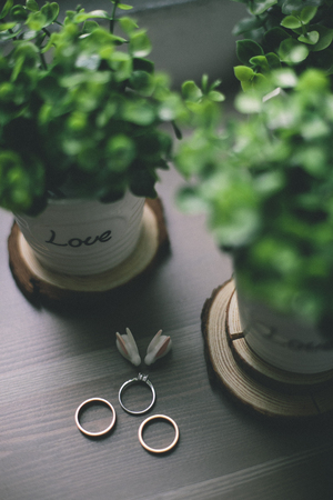 Rings for coupleの写真素材