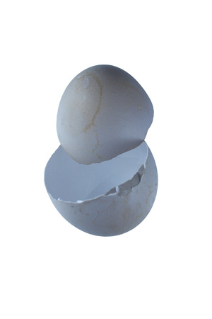 Some eggshell on white background.