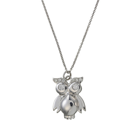 White gold chain with pendant in the shape of a owlの写真素材