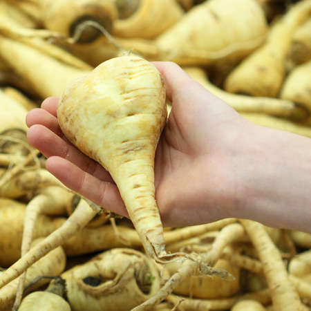 A seller who chooses fruits / vegetables in the supermarketの写真素材