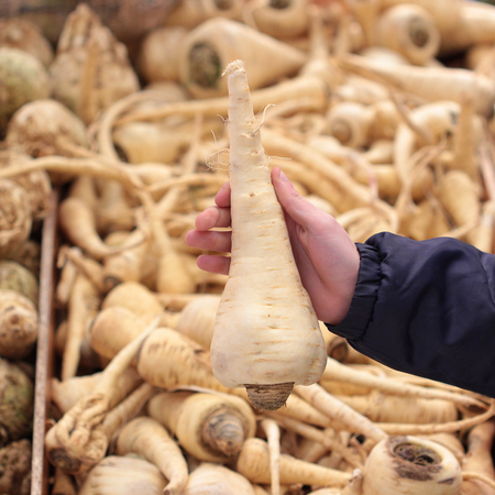 A seller who chooses fruits / vegetables in the supermarketの写真素材