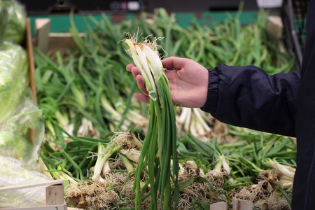 A seller who chooses fruits / vegetables in the supermarketの写真素材