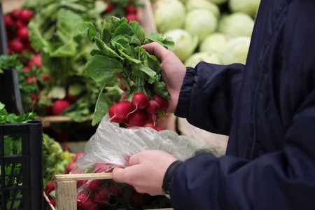 A seller who chooses fruits / vegetables in the supermarketの写真素材