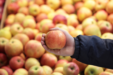 A seller who chooses a appleの写真素材