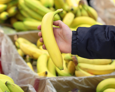 A seller who chooses a bannanaの写真素材