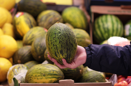 A seller who chooses fruits / vegetables in the supermarketの写真素材