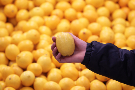 A seller who chooses a lemon fruitの写真素材