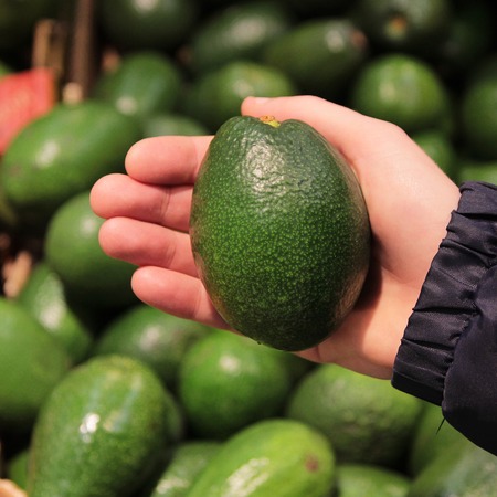 A seller who chooses a avocado fruitの写真素材