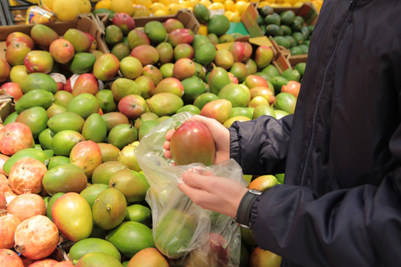 A seller who chooses a mango fruitの写真素材