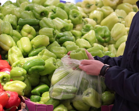 A seller who chooses a green pepperの写真素材