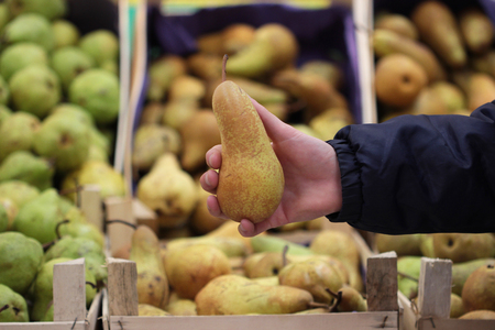 A seller who chooses a pearの写真素材
