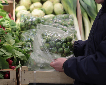 A seller who chooses a mini cabbageの写真素材