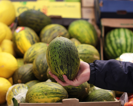 A seller who chooses a green melonの写真素材