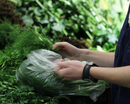 A seller who chooses fruits / vegetables in the supermarketの写真素材