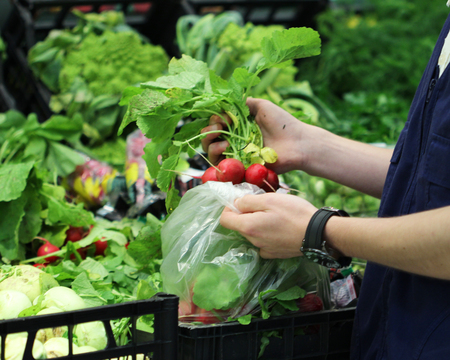A seller who chooses the red radishの写真素材