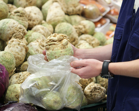 A seller who chooses vegetableの写真素材